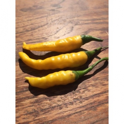 Peper Kristian