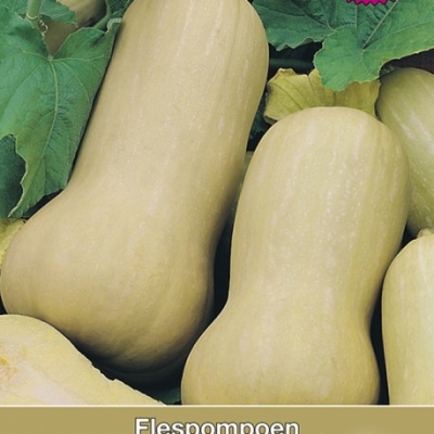 Pompoen Butternut (Flespompoen)