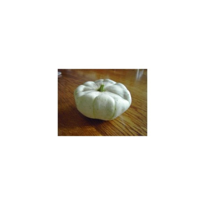 Pompoen Pattison