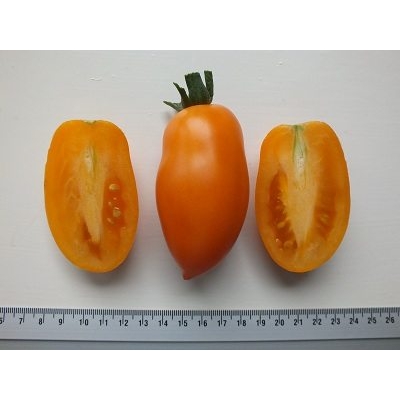 Tomaat Orange Banana