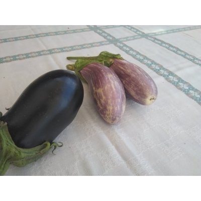 Aubergine Tzakoniki
