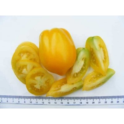 Tomaat Lemon Plum