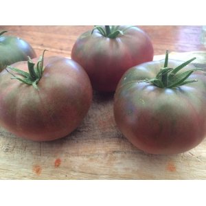 Tomaat Spudatula Tomaat Spudatula